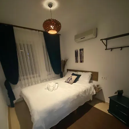 Ceviz Butik