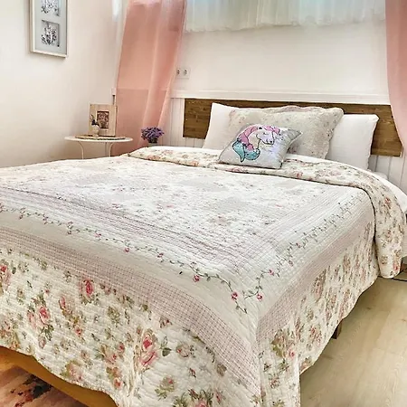 فندق Ceviz Butik بوزجادا