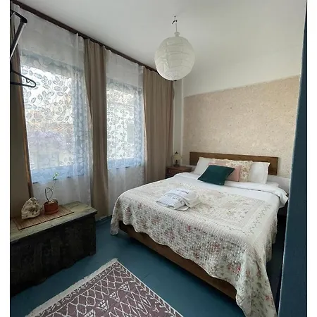 Ceviz Butik