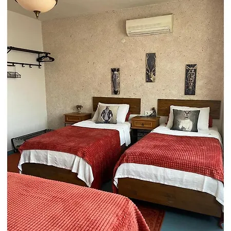 فندق Ceviz Butik