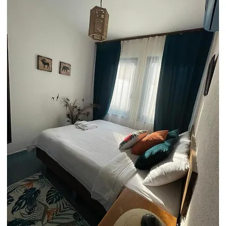 Ceviz Butik