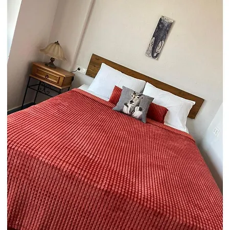 Ceviz Butik *