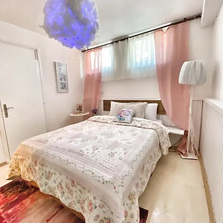 Ceviz Butik بوزجادا